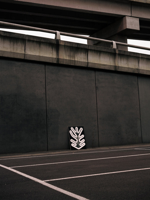 002_009 / 60mm / Canvas / Original